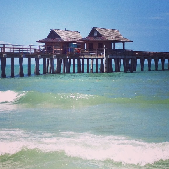 Meet your Posher, Elle - Picture 1 of 1